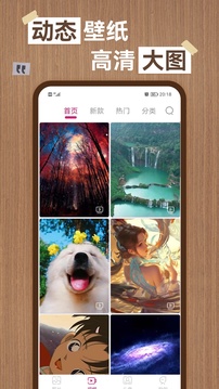 乐动app官方免费下载链接截图
